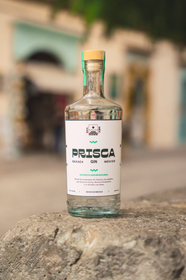BGP09870 PRISCA GIN